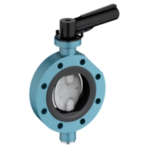 EBRO ARMATUREN Valve speciale