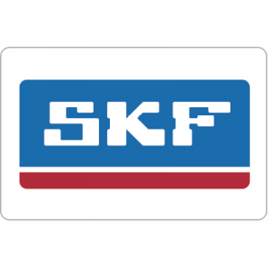 RULMENTI SKF